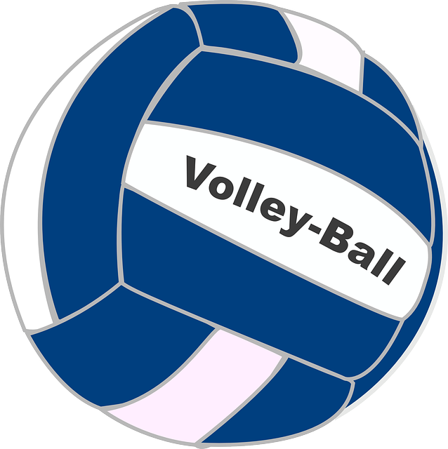 NAHS Volleyball Makes a Valiant Effort