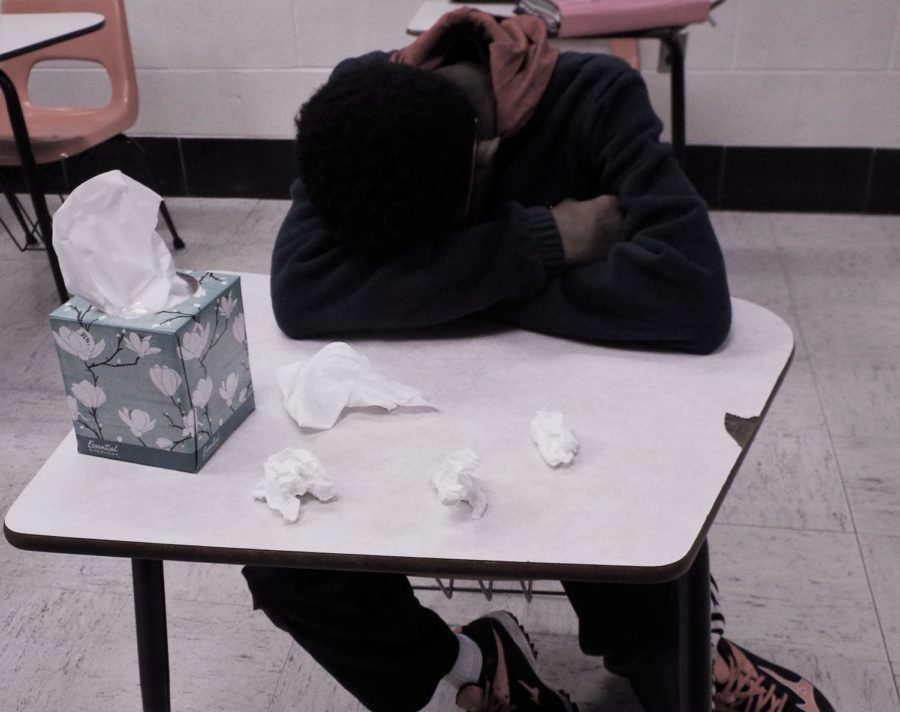 Seasonal allergies make it difficult for students at NAHS to stay alert in school. 