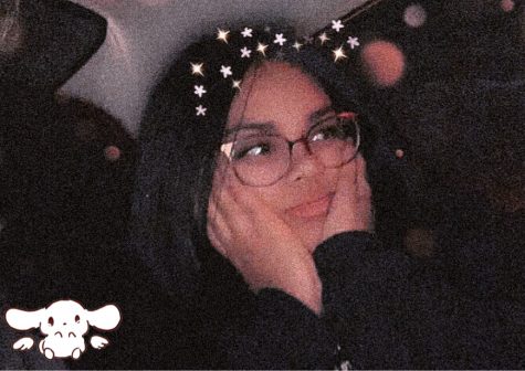 Photo of Yalianne Rosa Ramos