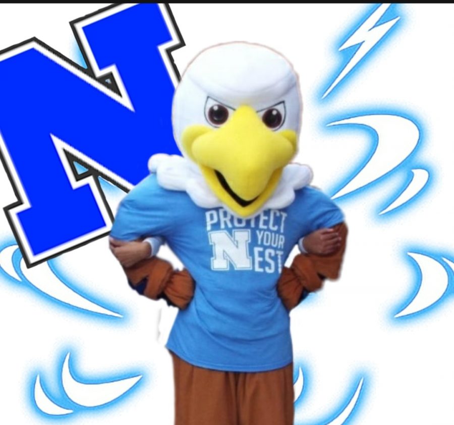 Norristown still plans to bring its famous spirit to school in a virtual Spirit Week and Homecoming event this year.