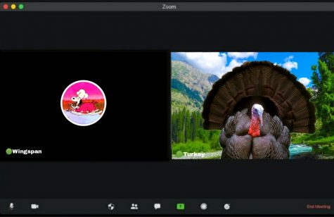An actual turkey in a Zoom call!