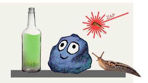 A pet rock and grass soda sound like some pretty unusual inventions, but they really do exist.  