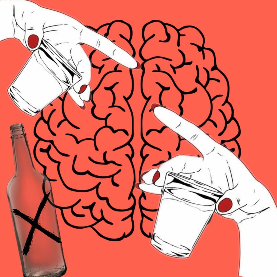 How Alcohol Affects the Developing Brain