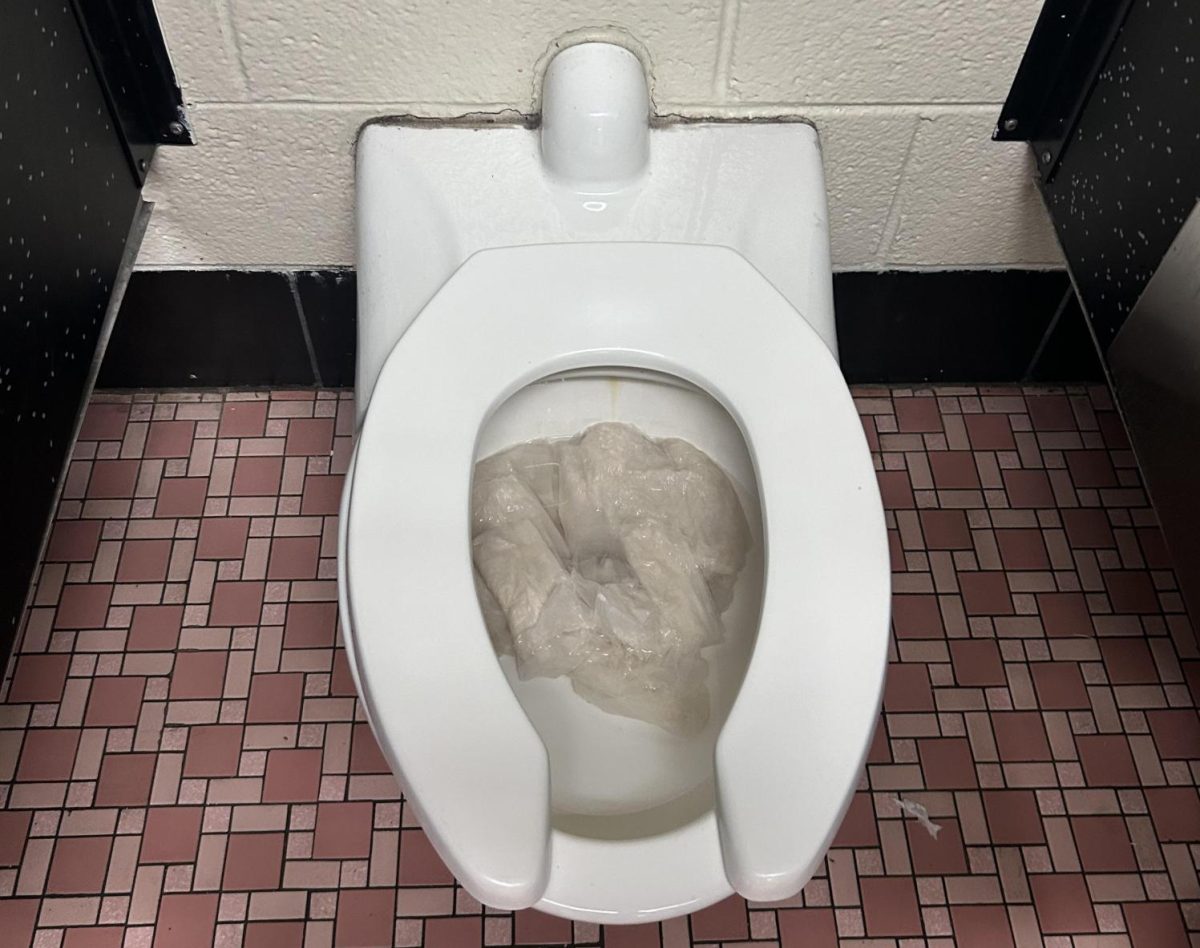 Toilets+clogged+are+only+one+of+the+many+issues+students+have+had+to+deal+with+all+year.+